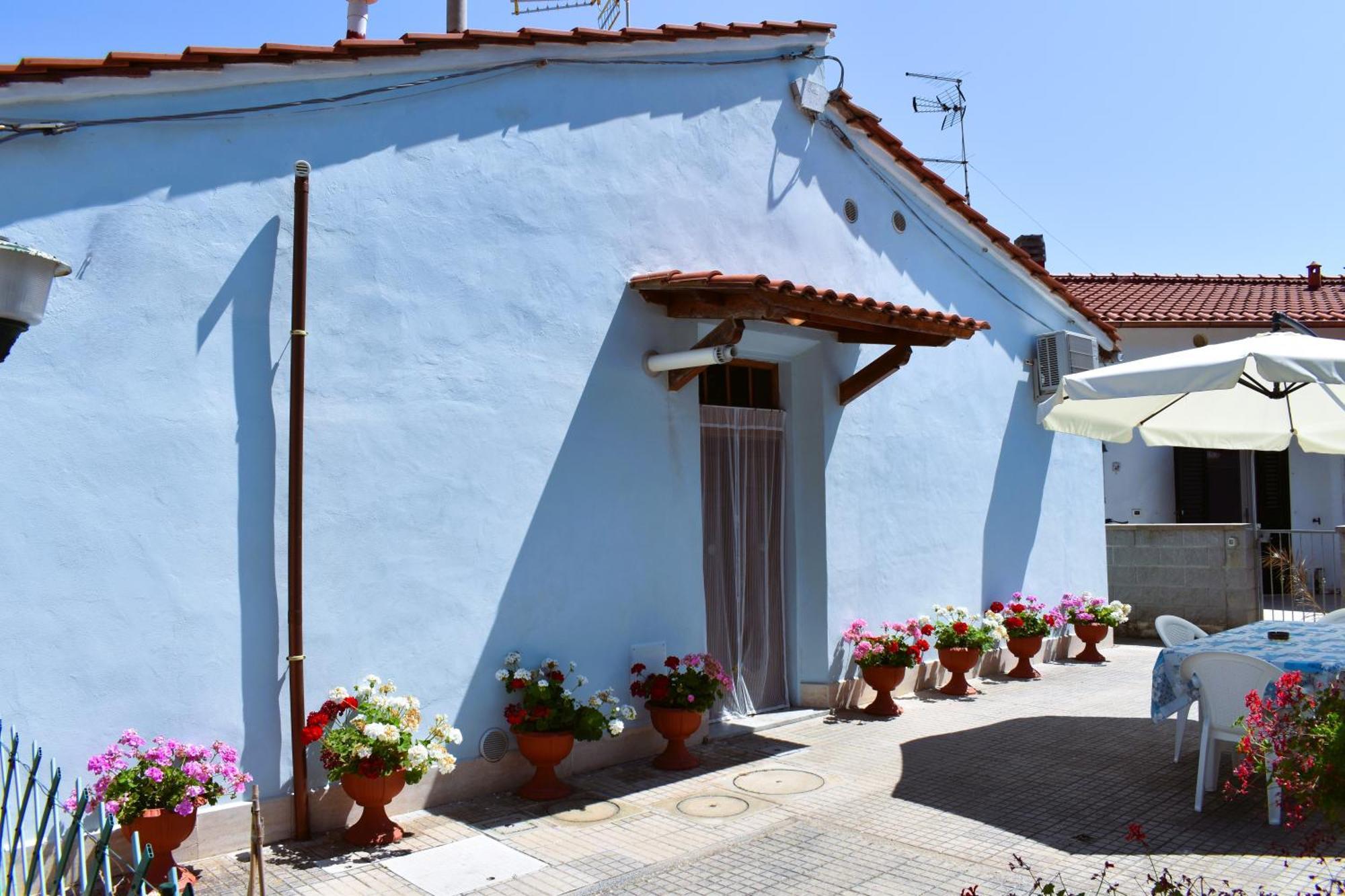 Villino La Perla Azzurra- Marina Di Pisa Villa Eksteriør bilde